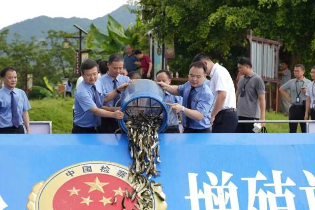 河源:守住客家人记忆中的那抹绿